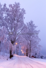 <h5>Helsingin Haltiala</h5><p>Pakkasaamu Haltialassa Helsingin ja Vantaan rajalla. Tunnus: img_8503</p>