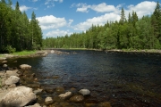 <h5>Ruunaan kosket Lieksassa</h5><p>Humuksen värjäämä vesi lainehtii Ruunaan kauniilla koskilla Pohjois-Karjalassa. Tunnus: img_9668</p>