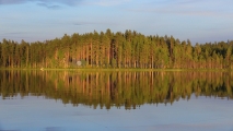 <h5>Tyyni järvi</h5><p>Ilta-aurinko hellii pohjois-karjalalaista metsäkumparetta. Tunnus: img_0046</p>