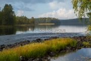 <h5>Ruska</h5><p>Järvi taittuu vuolaaksi koskeksi Lieksassa Pohjois-Karjalassa. Tunnus: img_1209</p>