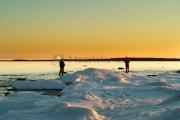 <h5>Miehet kalastavat</h5><p>Meritaimen tulee rantamataliin auringonlaskun aikaan. Tunnus: img_8279</p>