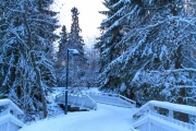 <h5>Luminen kävelytie Oulussa</h5><p>Sininen jouluaattona Oulujoen varrella olevassa puistossa. Tunnus: img_5161</p>