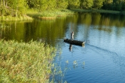 <h5>Mies kalastaa kaislikon edessä</h5><p>Kalamies tavoittelee kaislikossa lymyävää haukea. Tunnus: img_0803</p>