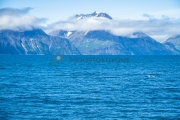 <h5>Vuoria Norjan vuonon reunalla</h5><p>Lyngen vuono sijaitsee noin 50 km Suomen rajalta Kilpisjärveltä. Tunnus: img_4147</p>