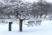 <h5>Autiot puiston penkit</h5><p>Jouluaattona oululaisen puiston penkit olivat autioita. Tunnus: img_5160</p>