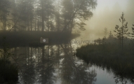 <h5>Ruska ja metsäpuro</h5><p>Varhaisena aamuna erään Pohjois-Karjalassa olevan puron maisema näytti tältä. Tunnus: img_4304</p>