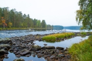 <h5>Ruskainen jokimaisema</h5><p>Lieksanjoki Pohjois-Karjala. Tunnus: img_1056</p>