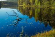 <h5>Ruska lammella</h5><p>Erän pieni järvi Pohjois-Karjalassa syyskuun ruskassa. Tunnus: img_4327</p>