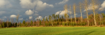 <h5>Syksyinen peltomaisema</h5><p>Panoramakuva, jossa on voimakkaat sadepilvien aiheuttamat kontrastit. Tunnus: pelto_maisema</p>