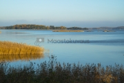 <h5>Syksyinen aamu merellä</h5><p>Aurinko alkaa nousta idästä ja valaisee ensisäteillään kaislikon laitaa. Tunnus: img_5736</p>