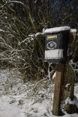 <h5>Vanha postilaatikko</h5><p>Postilaatikko odottaa aamuvarhaisella täydennystä. Tunnus: img_8130</p>